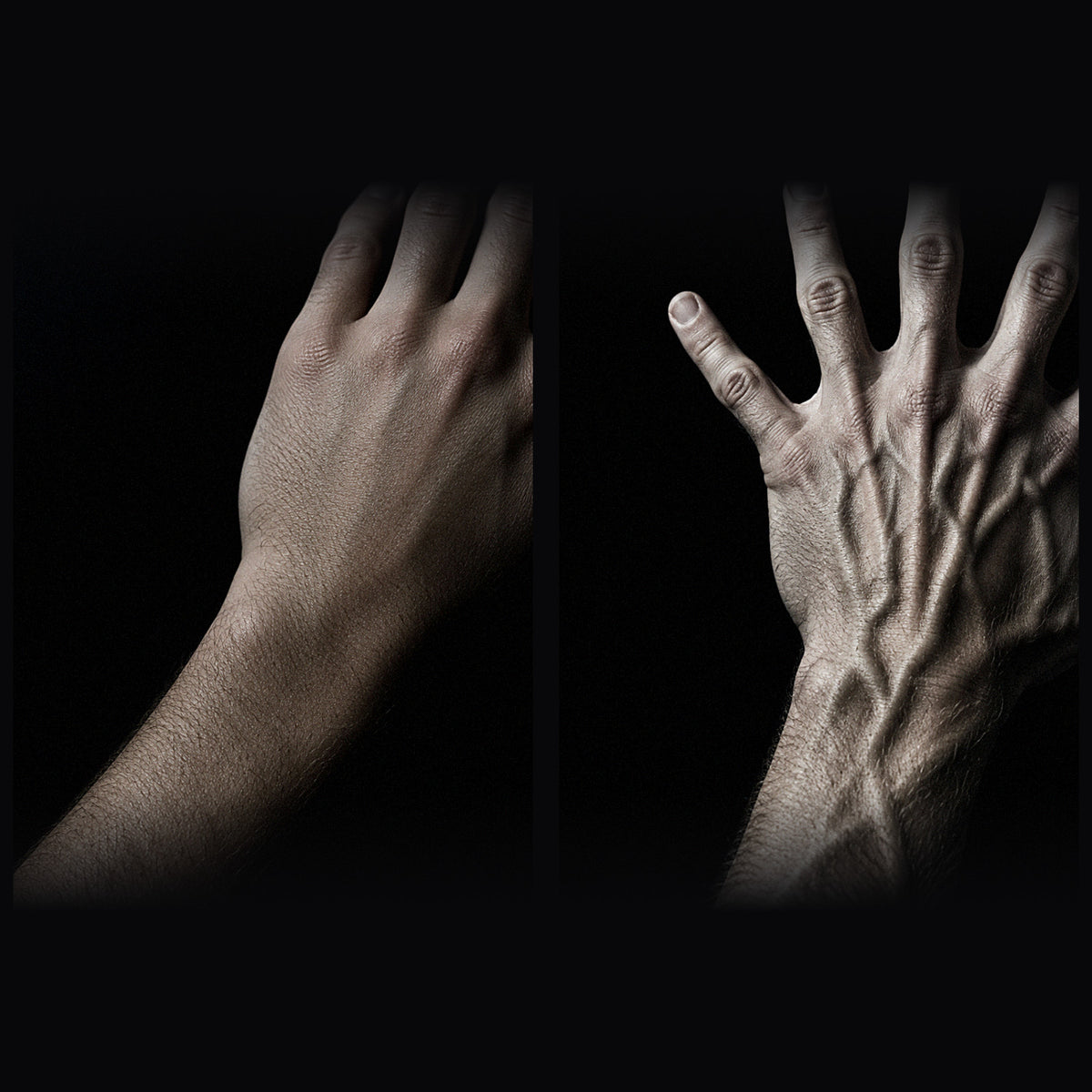 VEYRO — Grip Booster